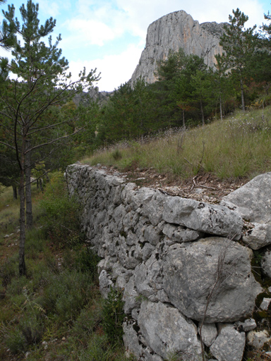 Font des Couestes. Mur de soutènement d'une terrasse agricole.