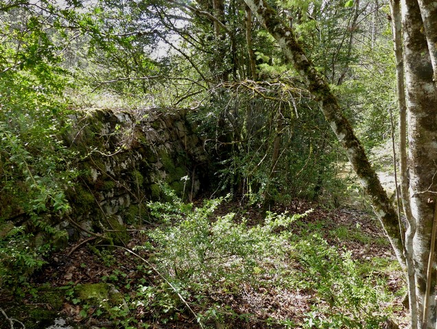 Digue en pierre sèche bordant la rive gauche du torrent de Baudon, au Ravin de Reynier.