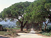 jardin d'agrément