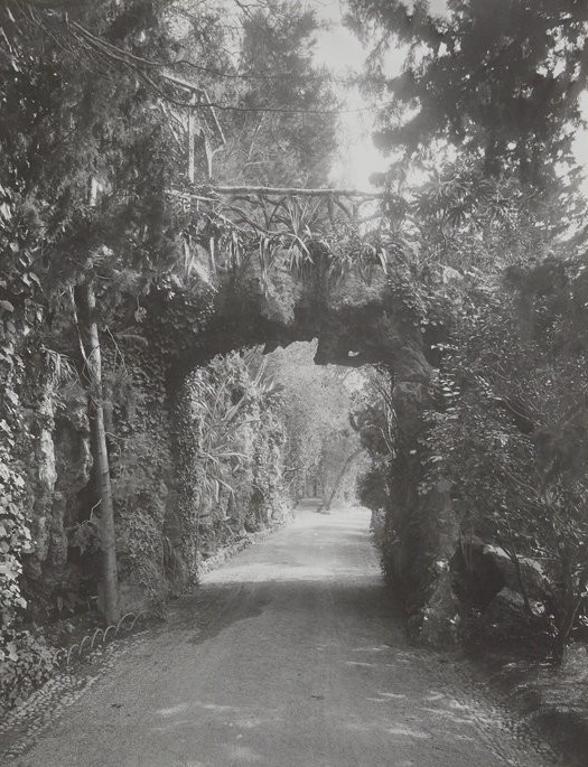 parc d'agrément Valrose, ancien parc d'agrément de la Villa Valrose