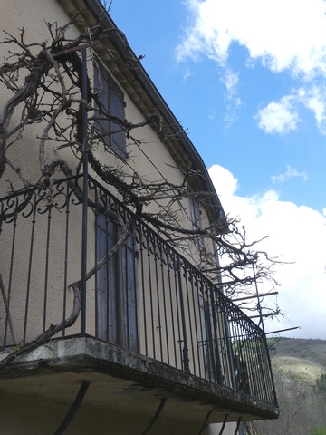 Elévation est, deuxième niveau. Balcon et treille de vigne.