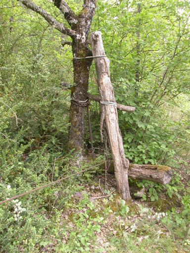 téléférique (treuil à foin)