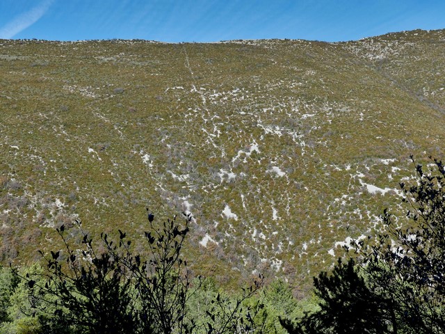 La limite communale traversant le versant sous le Pas de Pousterle.