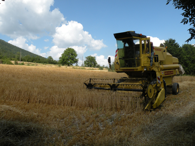 Scène de moisson dans la vallée du Riou de Vergons.