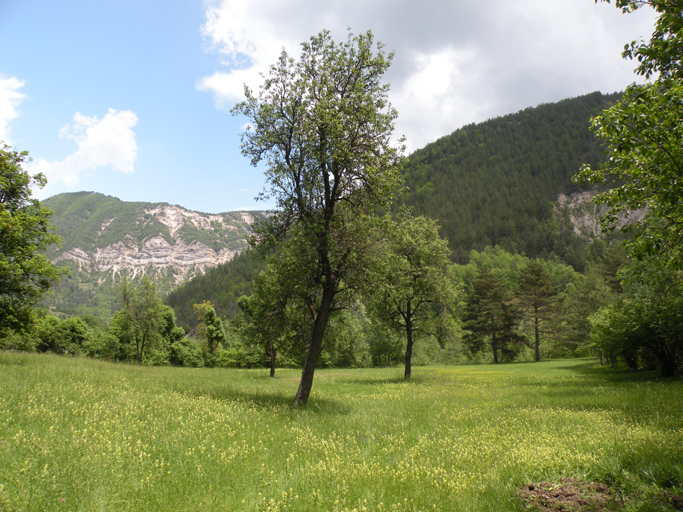 présentation de la commune d'Ubraye