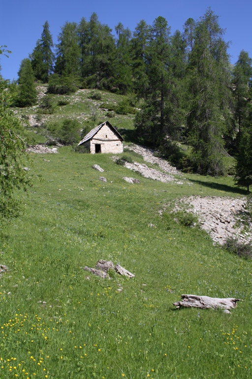 cabane de cultivateur