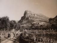 [La Gaude. Chemin de La Gaude à Saint-Jeannet bordé de vignes vers 1935]. 