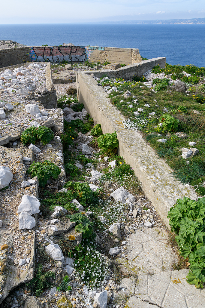 Batterie sudwall, 5eme cuve à casemate abri Regelbau M 158, rampe d'issue de la cuve