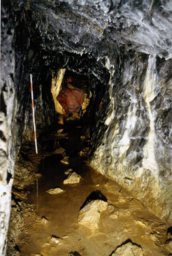 mine d'argent du Fournel (mine de plomb argentifère) : exploitation médiévale