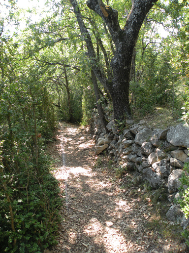 Chemin de Villevieille à Saint-Nicolas : mur en pierre sèche et haie de buis.
