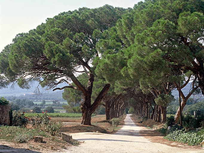 jardin d'agrément