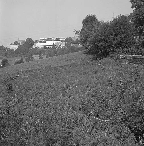 présentation de la commune de Buissard