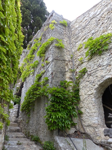 Elévation ouest du bâtiment accueillant le moulin et arrivée de l'aqueduc au nord.