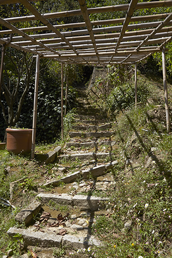 Escalier muletier (vue rapprochée des marches dites pas d'ânes).