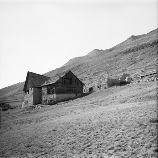 ferme (ferme jumelée, chalet d'estive)