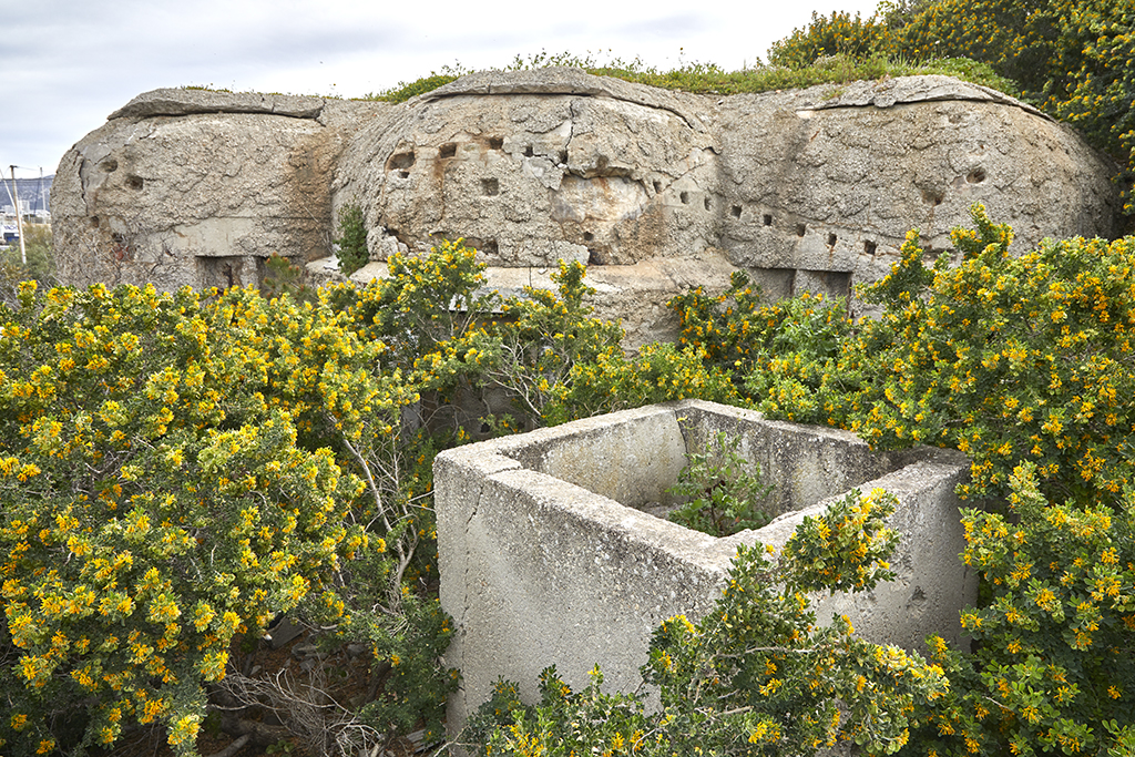Batterie de Montredon, façade active d'une des quatre casemates Regelbau 671 avec camouflage.