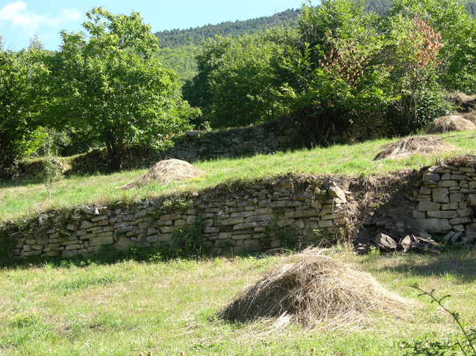 présentation de la commune de Braux