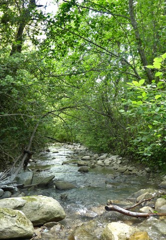 Le ruisseau de Baudon, dans sa partie aval.