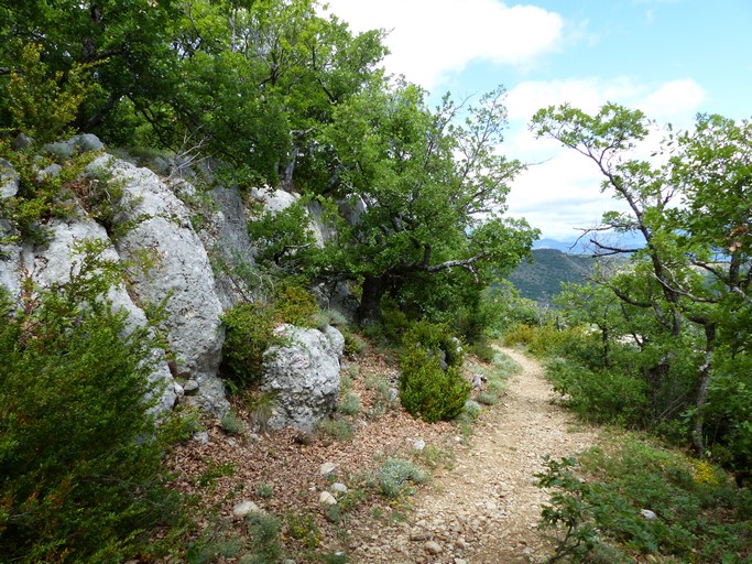 Ancien chemin de Grange Neuve aux Boisses, passage au-dessus de Baume Rousse.