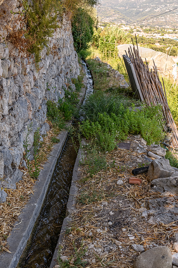 Quartier de la Béou. Canal d'irrigation le long d'une parcelle cultivée (2024 C 1193). 