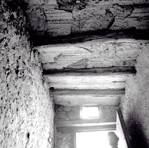 Rez-de-chaussée. Cour Aa. Plafond de voûtains coffrés reposant sur le solivage. Au fond l'imposte de la porte d'entrée.