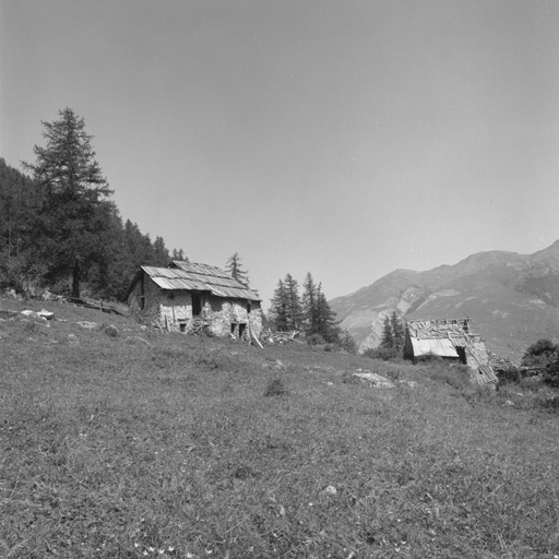 ferme (chalet d'estive)