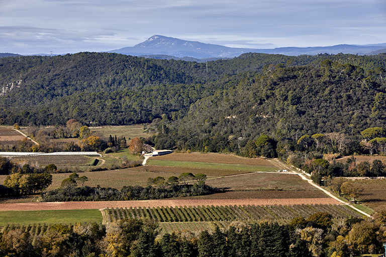 présentation de la commune de Vidauban