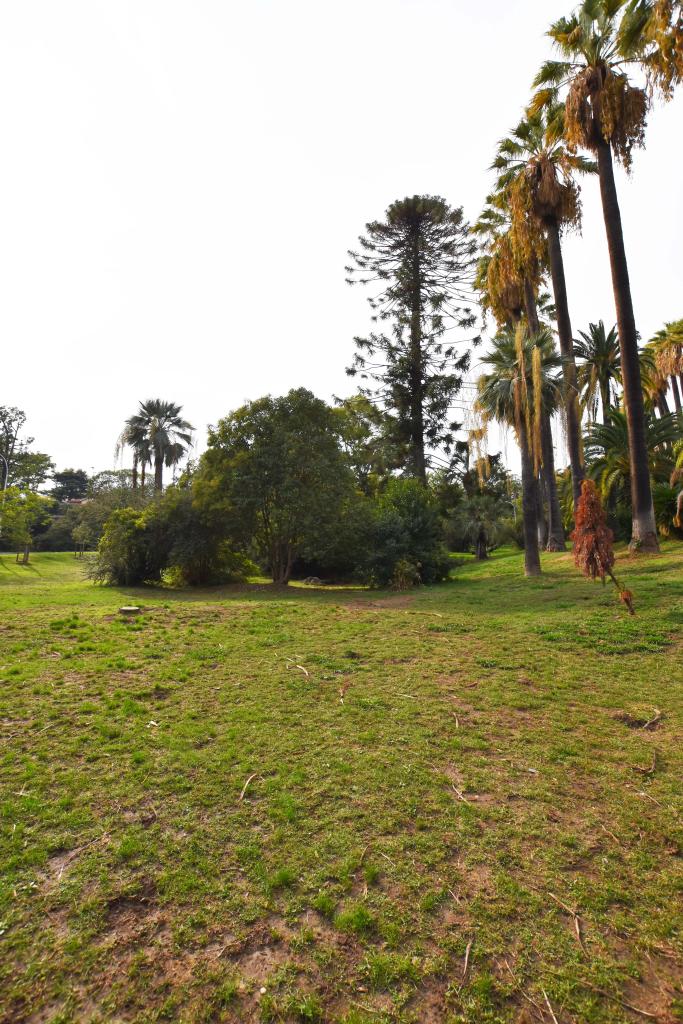 jardin d'agrément de la villa L'Africaine, actuellement parc de l'Indochine et jardin des Résidences Château Sainte-Anne