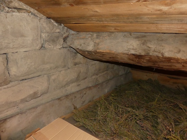 Etage de comble, séchoir. Mur est, ancrage des pannes dans le mur de la tour mitoyenne.