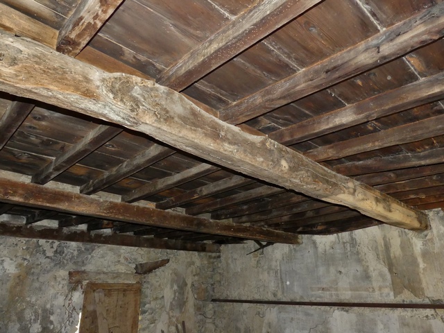 Bâtiment principal. Rez-de-chaussée surélevé, pièce orientale. Plafond.