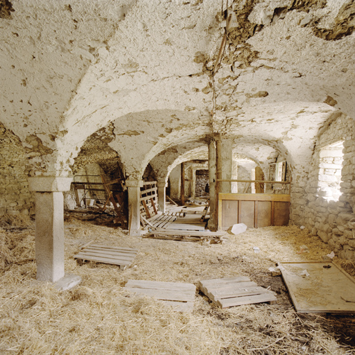 Ferme à Chauvet (Allos). Bergerie voûtée d'arêtes sur quatre travées.