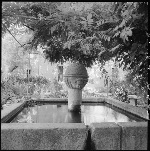 Fontaine du cloître.