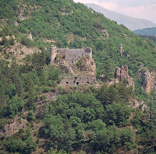 Vue générale sud-ouest, "donjon" et "cornichon".