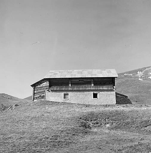 Ferme (chalet d'estive)