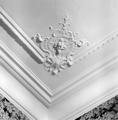 Rez-de-chaussée, pièce Ae, motif d'angle du plafond.