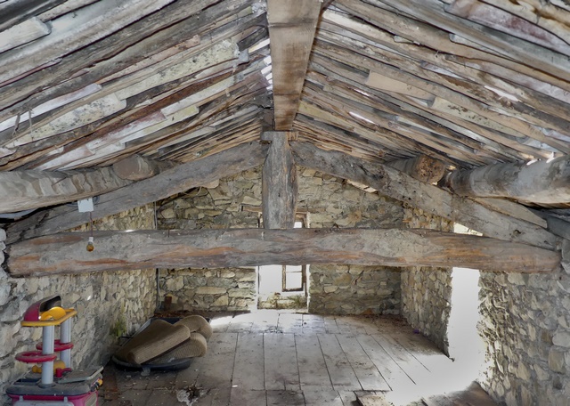 Dépendance agricole orientale, bâtiment du cellier. Charpente à pannes sur ferme.