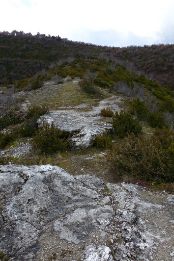 Le site du Castellac : le fossé.