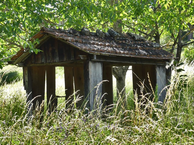 Vue d'ensemble d'un « cabanon » en bois, au Grand Pré.
