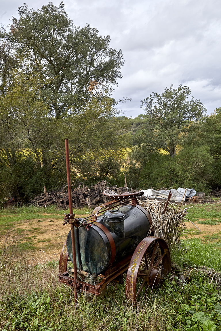 Ferme