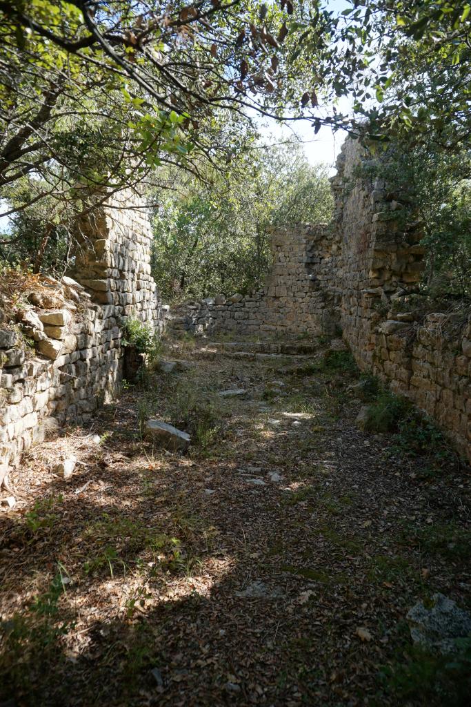 Vue des vestiges des élévations latérales et de l’abside de la chapelle Saint-Martin depuis l’ouest.