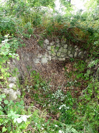 Ancien silo à légume : structure en pierre sèche circulaire engagée dans la digue du Buëch.