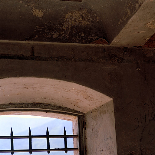 Donjon 46. Détail de décor de plafond dans les chambres du corps principal.