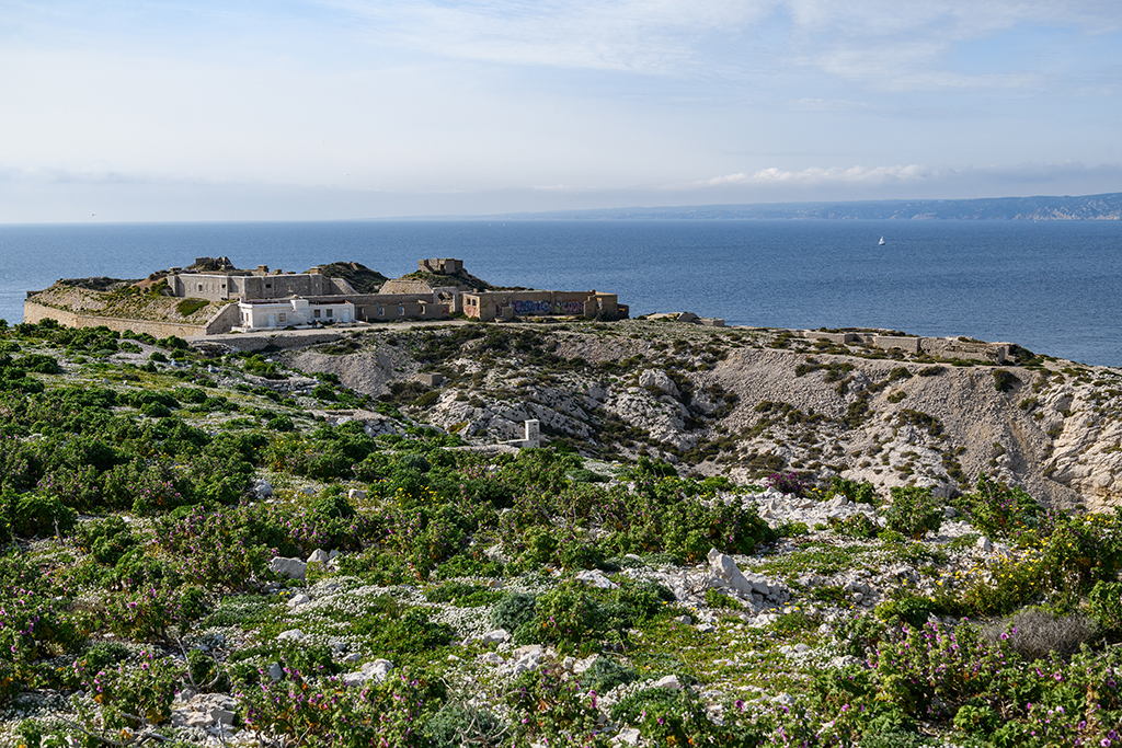 Batterie de 1861 et 1880 et batterie annexe de 1893, vues su sud-est 