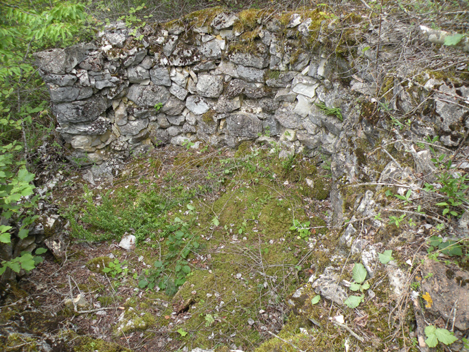 cabane de cultivateur