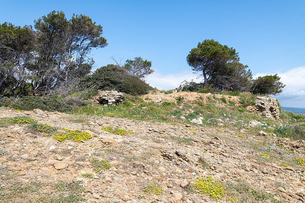 Batterie basse sud-est, vue extérieure des ruines de l'épaulement