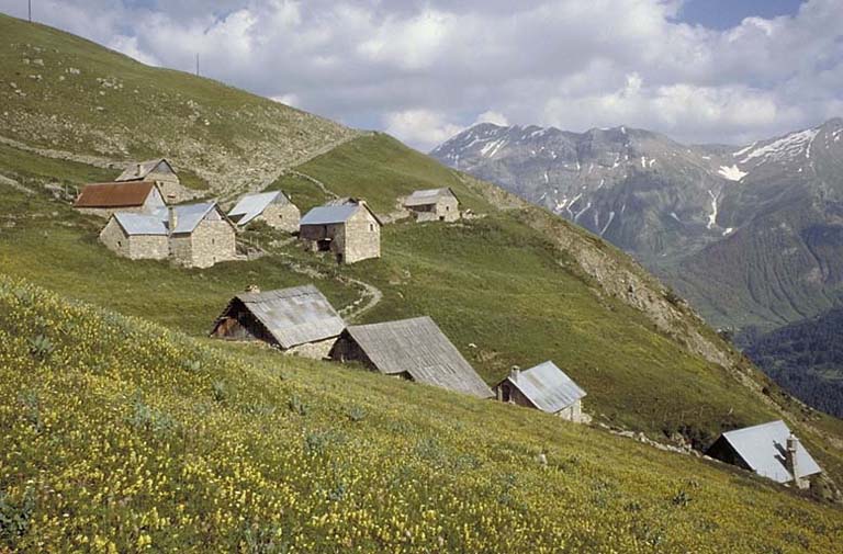 Ecart (Hameau d'Estive) dit Hameau d'Estive Forest