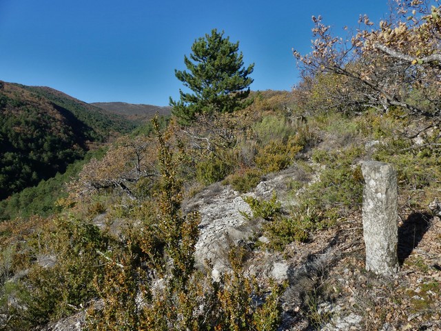 Borne du Pas du Terme. Vue de situation prise du sud.
