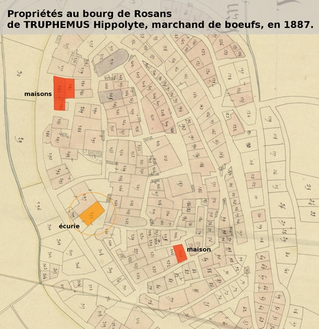 Propriétés du marchand de boeuf Hippolyte Truphèmus en 1887, d'après le plan cadastral de 1839, section F1. Echelle d'origine 1/1000e.