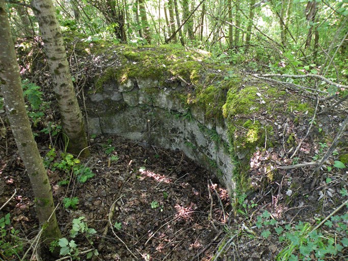 Vestiges du réservoir du moulin de Carajuan.