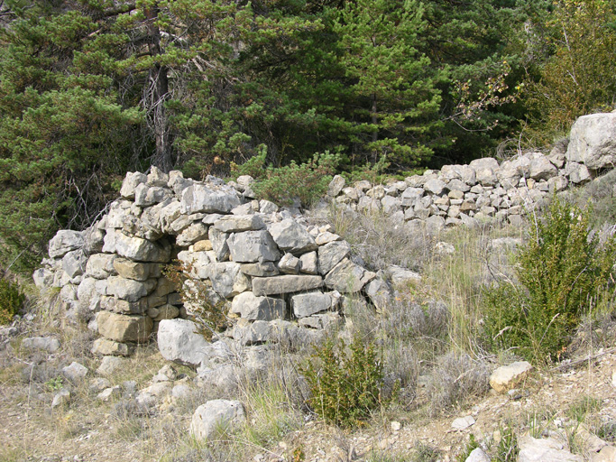 cabane